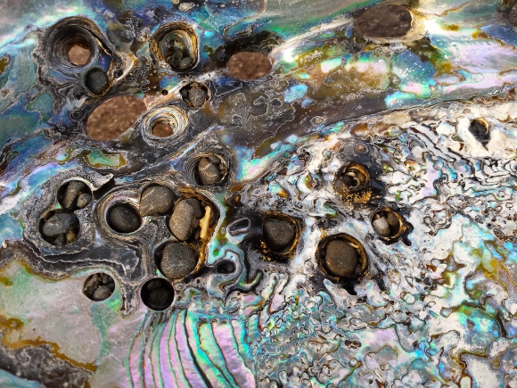 wp281 07 abalone river rocks 20200222